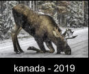 kanada - 2019