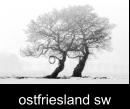 ostfriesland sw