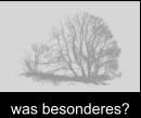 was besonderes?