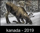 kanada - 2019