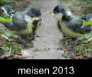 meisen 2013