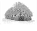 brookmerland sw